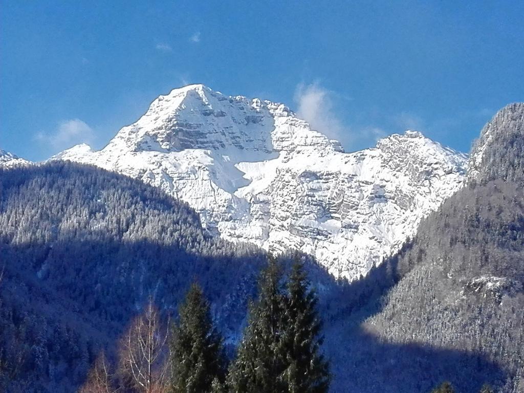 Pension Wildental Sankt Martin bei Lofer Extérieur photo